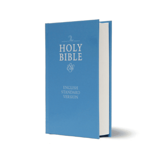 The Holy Bible: English standard version | printed case | small size | Protestant Edition - Image 2